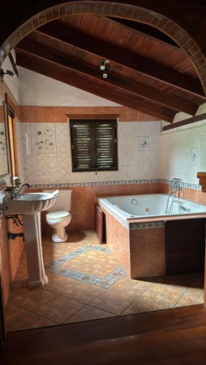 Casa levice